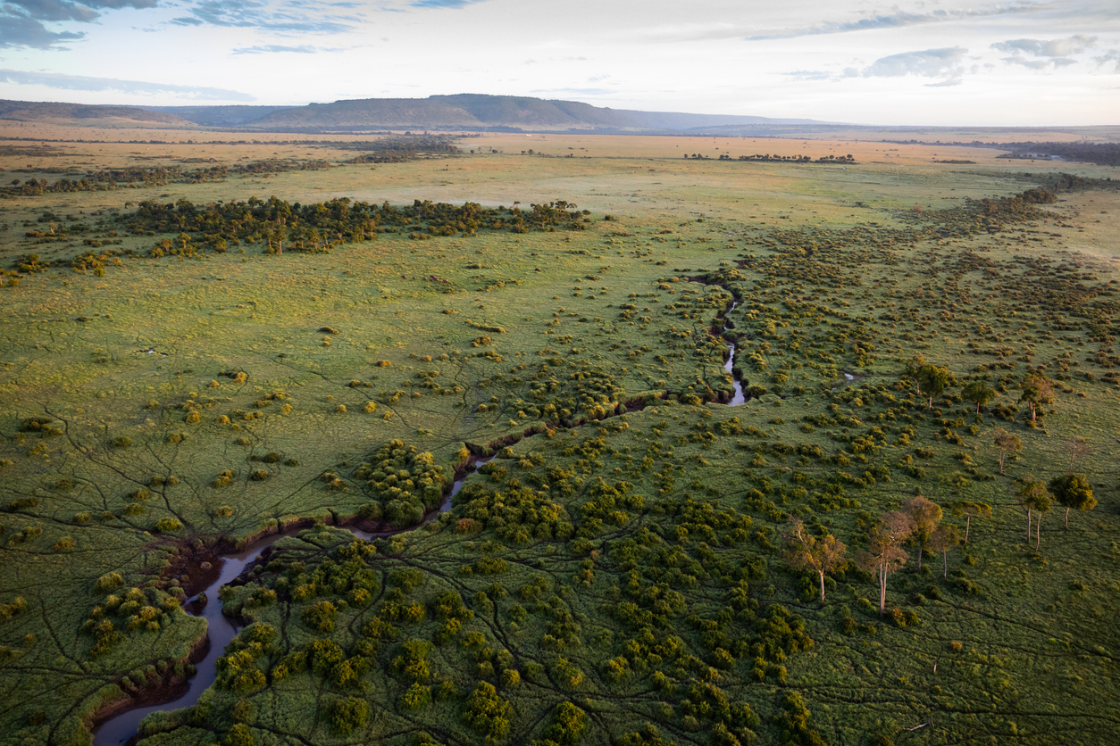 Maasai Mara Aerial View