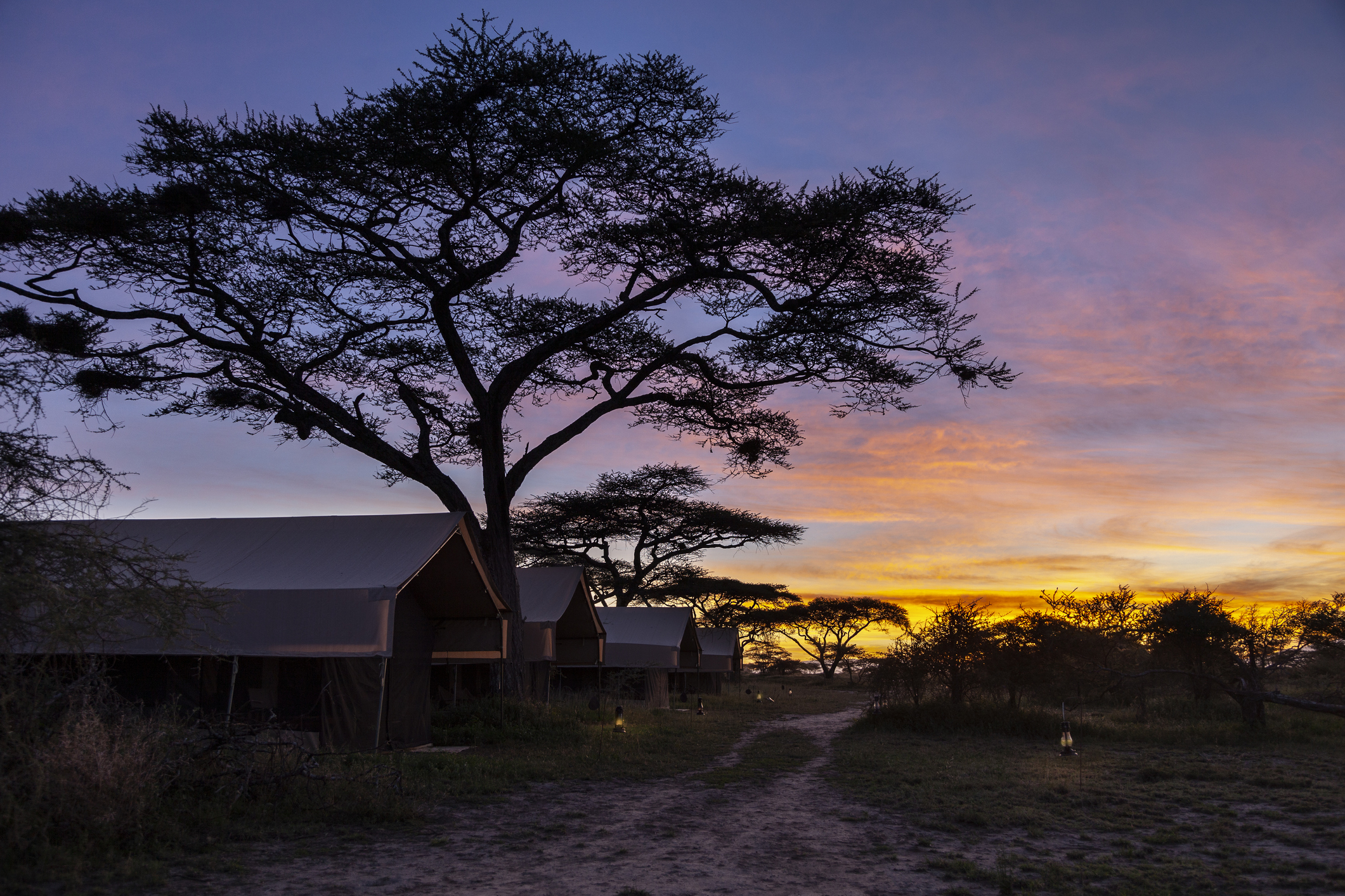 Tent camps in the Serengeti national park, Tanzania, Africa.