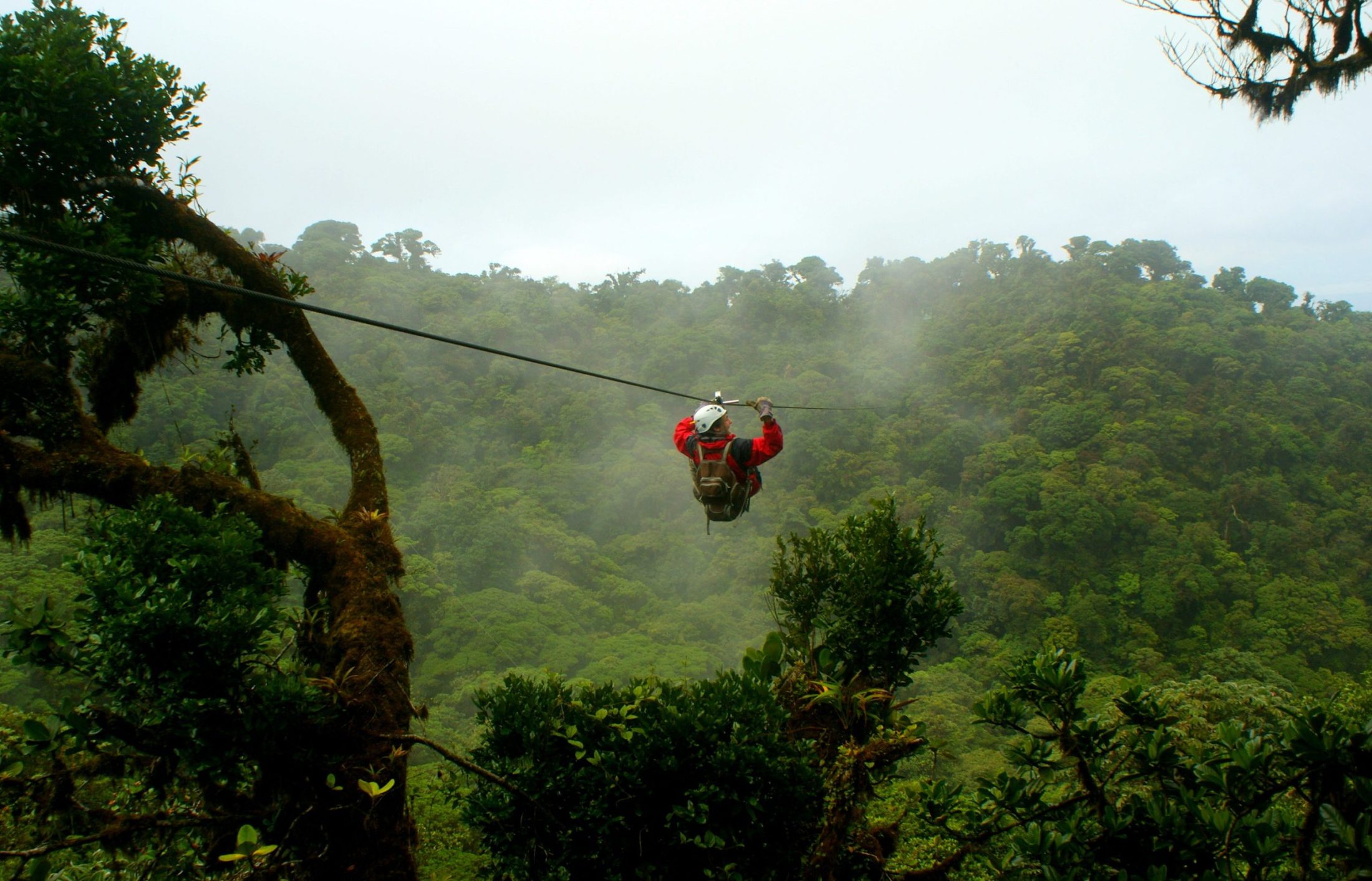forêt de Monteverde