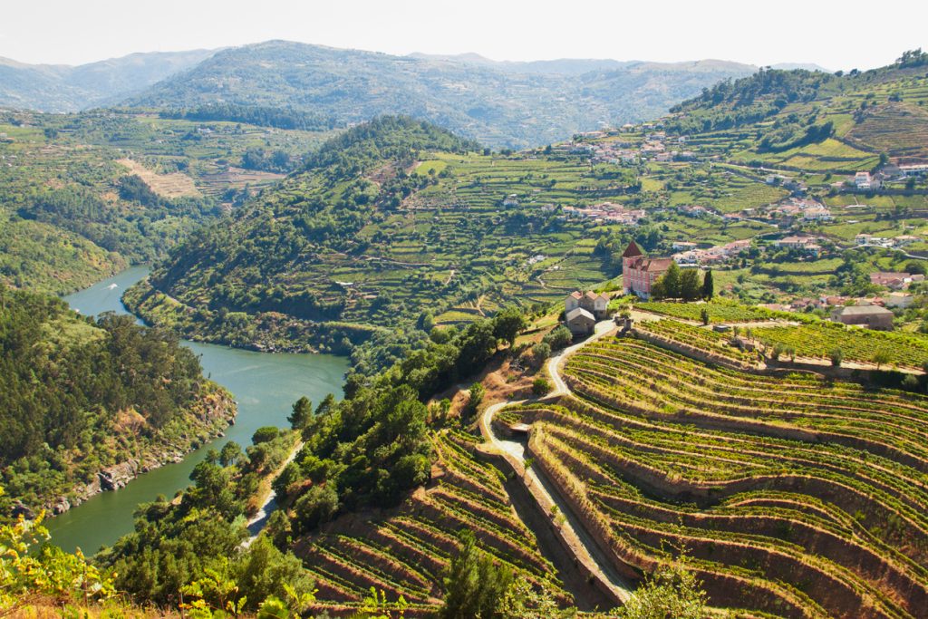 Vignoble Douro
